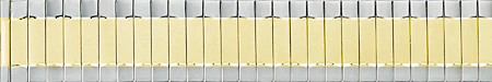 Straight End Expansion Watchband  3822