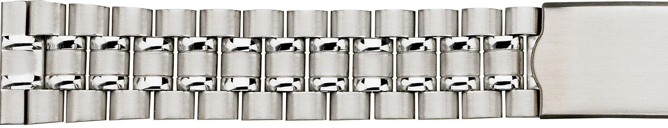 Stainless Steel Buckle Watchband  518