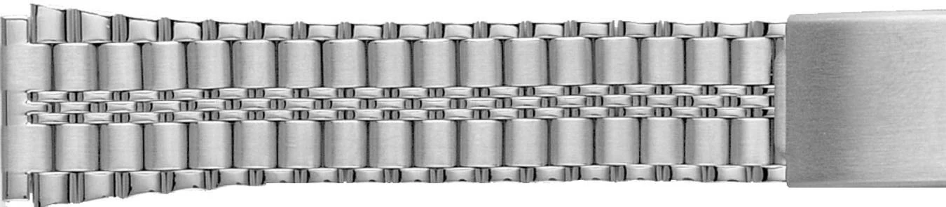 Stainless Steel Buckle Watch Band  520